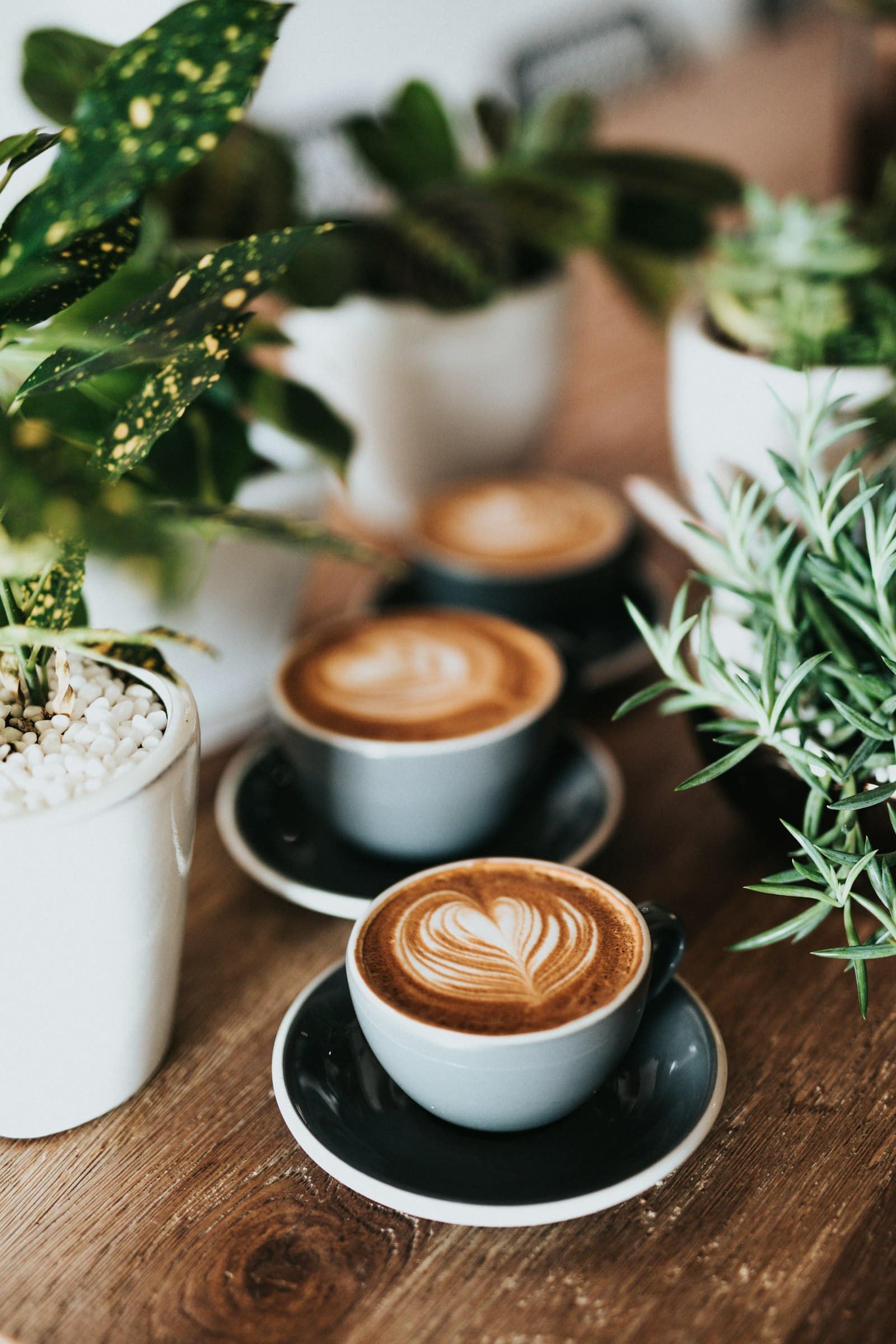 le Molière — Café, glaces artisanales & épicerie fine à 2800 Delémont